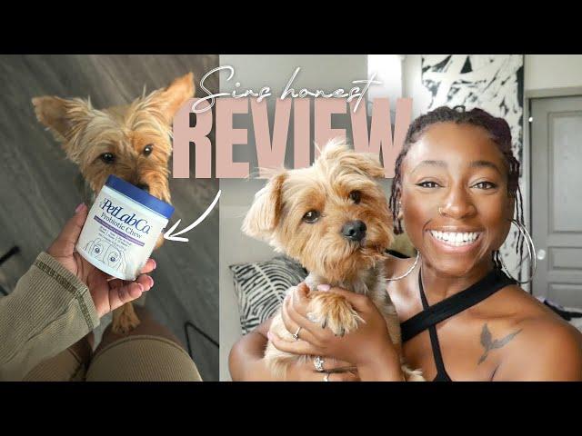 We Tried PetLab Co.‘s Viral Probiotic Chews For Dogs… Here’s What We Think | Adira Kalon (ft. Sir)