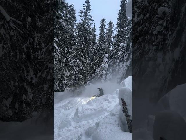 Deep snow! #shorts