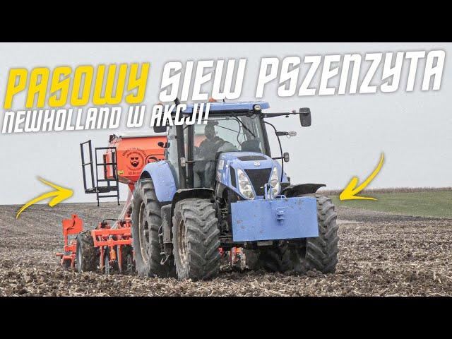  PASOWY SIEW PSZENŻYTA 2023  NO-TILLER  GR BERGIEL  NEWHOLLAND T7.235  METODA STRIP-TILL 