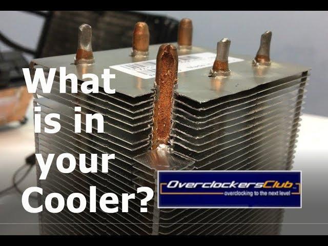 What's inside your cooler?