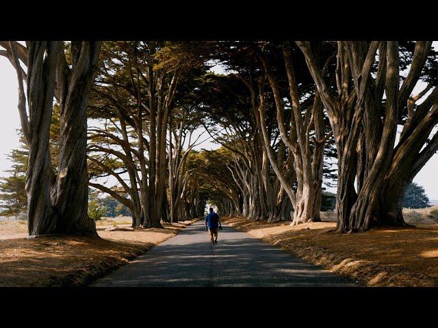 Pacific Coast Highway // iPhone 12 Pro Max // SANDMARC Anamorphic
