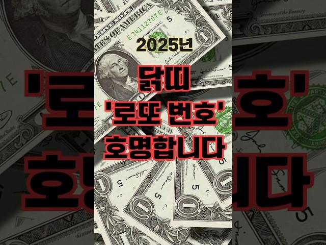 2025년 닭띠 ‘로또 번호’ 호명합니다! #닭띠 #닭띠운세 #닭띠사주 #닭띠궁합 #로또번호