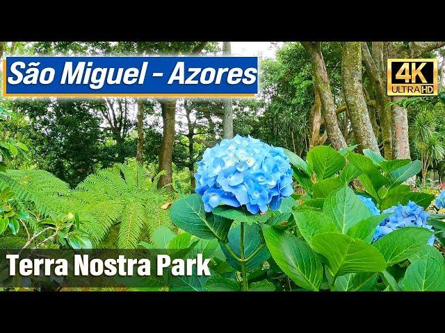 Terra Nostra Park: Thermal Baths & Botanical Beauty (Furnas, Sao Miguel - Azores Island)