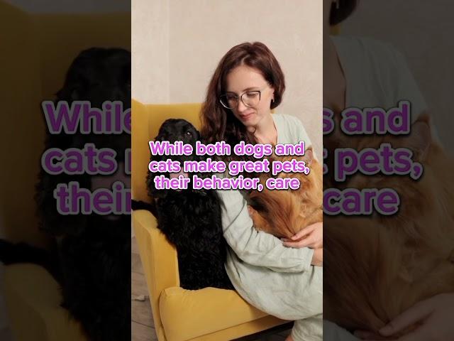 Dog vs cat in 2023 #fact #communication