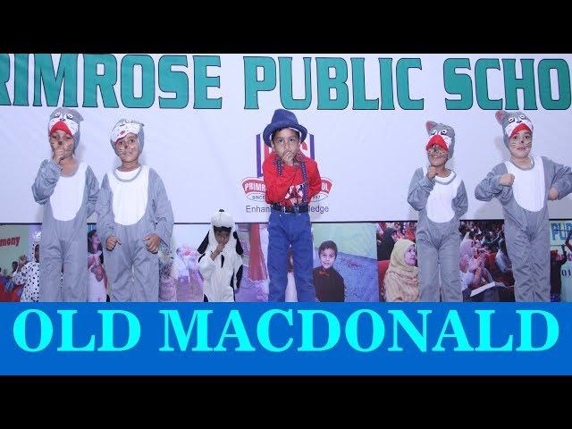 Old MacDonald Performance