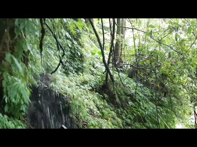 Air Terjun Banyumala Buleleng Bali