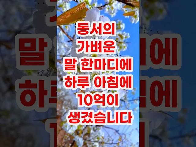 동서의 가벼운 말한미디에 하루 아침에 10억이 생겼습니다