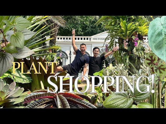 Discover Some COOL & Affordable Plants in Jakarta Plant Market | FLONA 2024