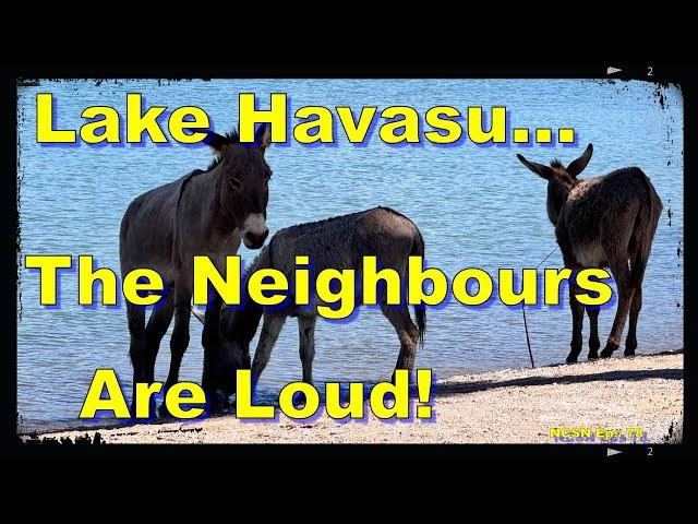 The Neighbours Are Wild and Loud!