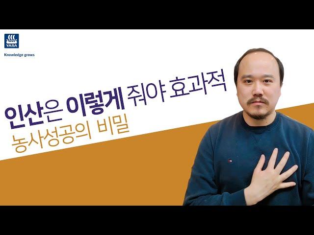 인산시비 2편/ 인산 비료는 이렇게 줘야한다! 어떻게? | 농사 100단