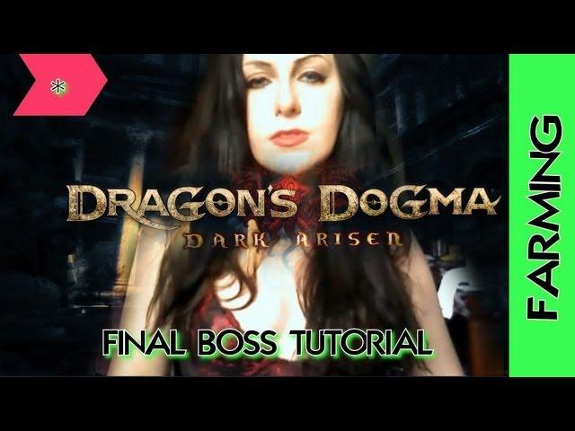 Dragon's Dogma SPEED RUN DARK ARISEN Farming Daimon Final boss w/ epictreasure TUTORIAL