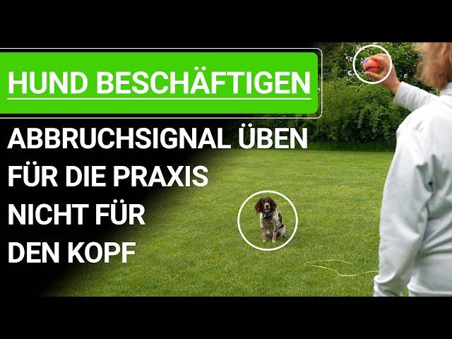  Hund beschäftigen ️ Abbruchsignal üben für die Praxis nicht für den Kopf ️ Praxisvideo ️