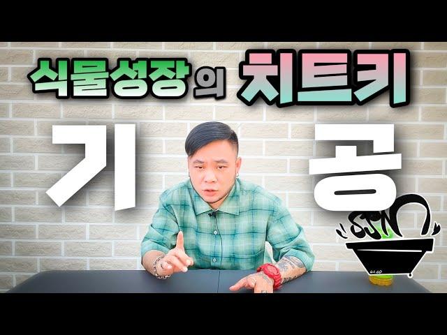 식물 성장이 몇배로 빨라지는 원리 ! 기공을 알면 가능해집니다