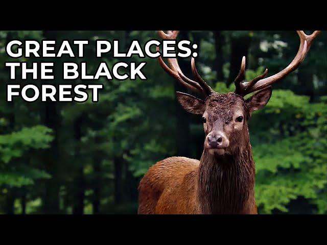 Great Places of the World | Episode 1: The Black Forest of Germany | Free Documentary Nature