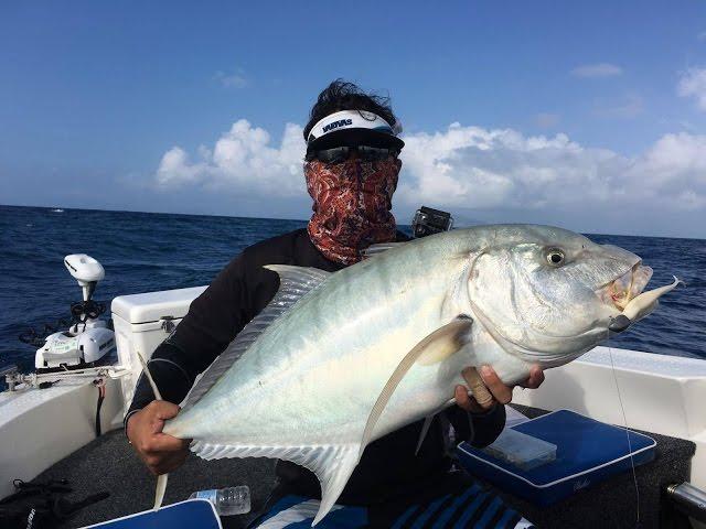 11.5KG Golden Trevally on soft plastics