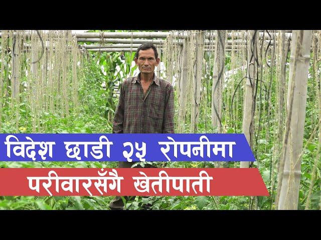 वार्षिक १५ / २० लाख कमाउन विदेश नजाउँ || Agriculture in Nepal ||