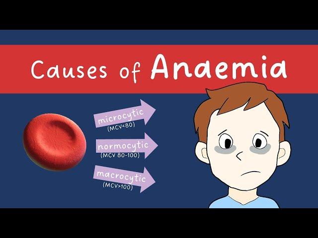 Anaemia causes (microcytic, normocytic, macrocytic) | MADE EASY!