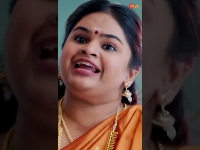 | Sarrainodu | Allu Arjun | Brahmanandam | Telugu Comedy scene
