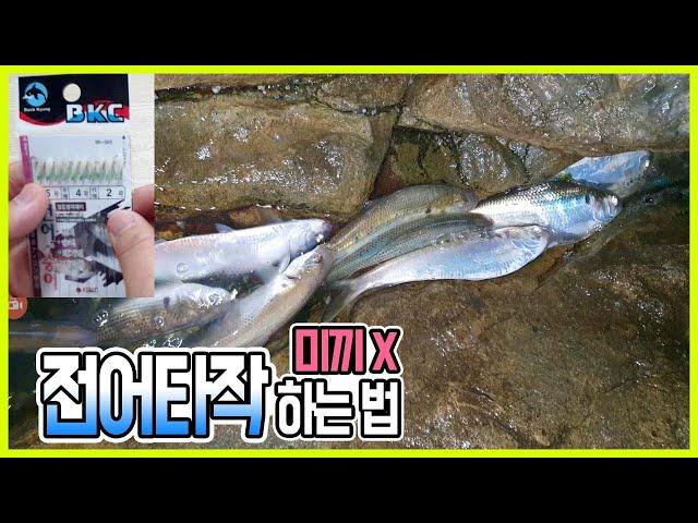 미끼없이 전어 타작하는법 가덕도에 전어가 바글바글 루어장비로 전어 잡는법