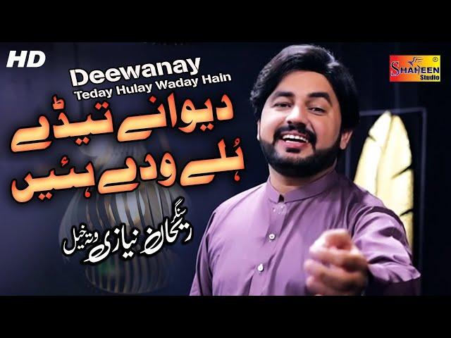 Dewany Tedy Holy Wady Hain | Rehan Niazi Wattakhel | ( Official Video ) | Shaheen Studio