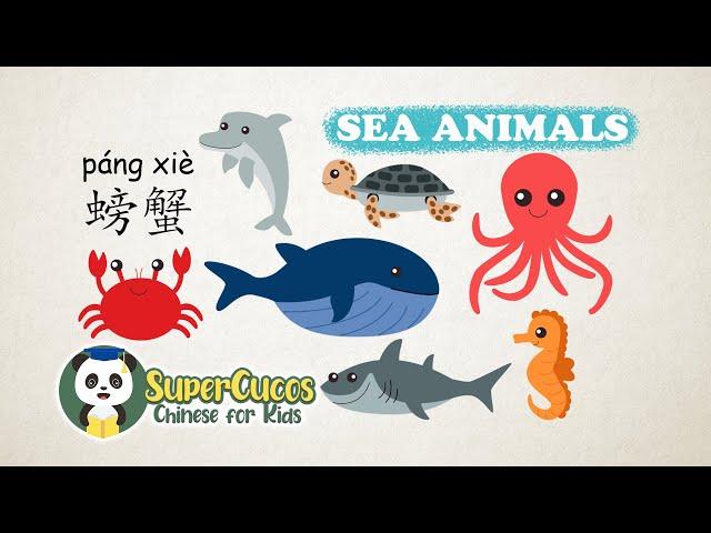 学中文-12种海洋动物 | Learn Chinese for kids - 12 Sea Animals | Aprender Chino - 12 Animales Acuáticos