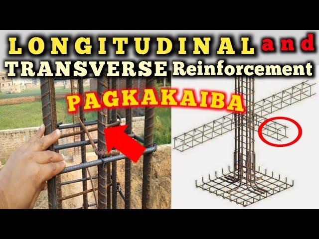 LONGITUDINAL AND TRANSVERSE REINFORCEMENT WHAT IS THE DIFFERENCE.LONGITUDINAL BAR, TRANSVERSE BAR.