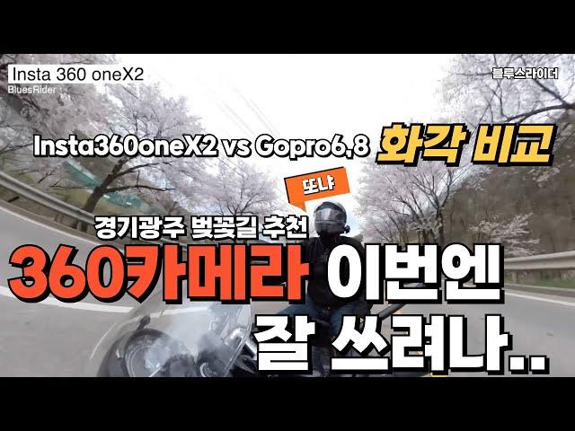 짧은 벚꽃길 드라이브 겸 인스타360 카메라 테스트 촬영