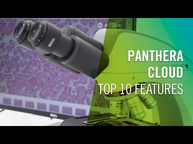 Panthera Cloud smart microscope - Top 10 features | by Motic Europe