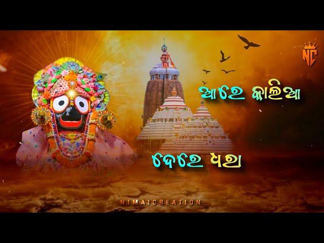 Jagannath Status || Jay Jagannath Status || Jagannath Bhajan Status || Jagannath Status Video