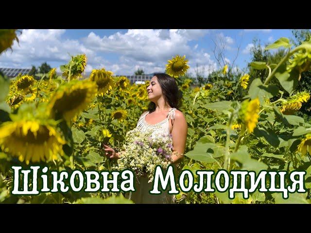 Остра Тирнина - Шіковна молодиця