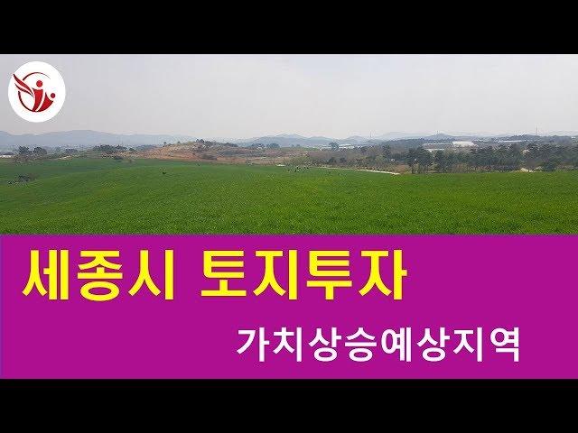 _ 세종시연동면응암리 전 매매