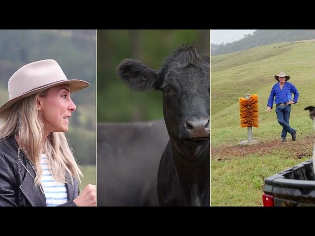 Australian Good Meat -  Mackas Farm Tour: behind the scenes