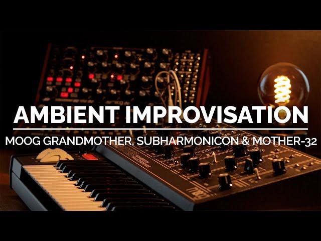 Moog Grandmother, Mother-32 & Subharmonicon - Ambient Improvisation