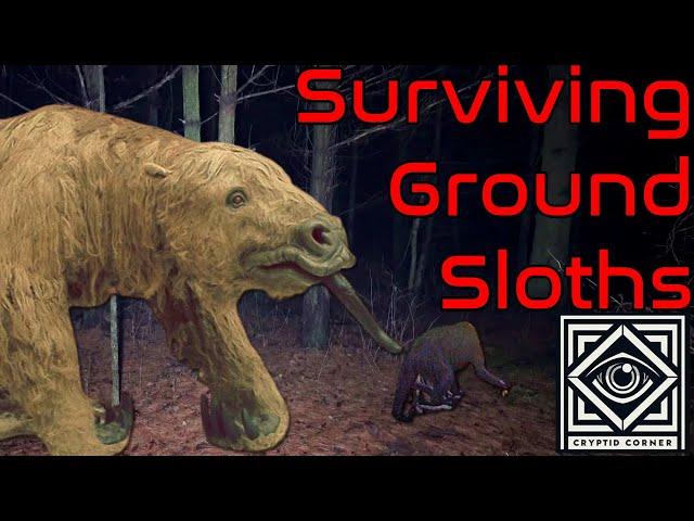 Are Ground Sloths Still Alive?