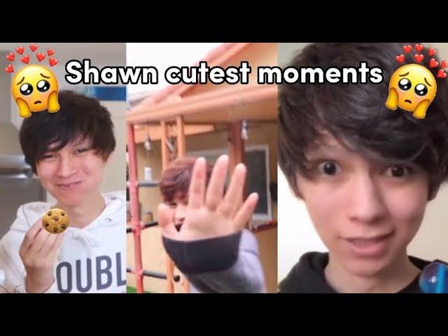 Sussy shawn cutest moments 