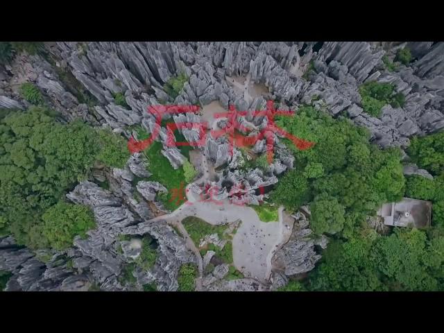 UNESCO World Heritage Site the Stone Forest (石林)