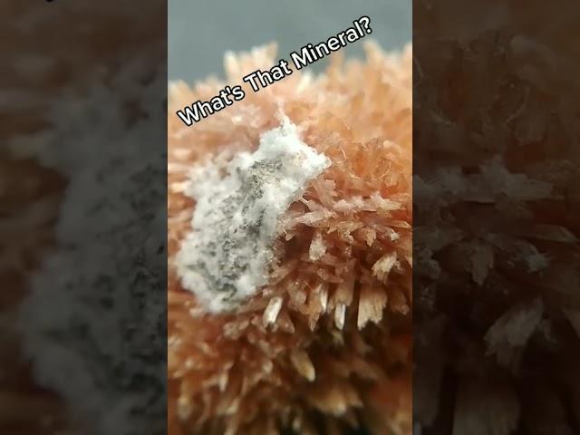 What's That Mineral?! #Nature #Geology #Crystals #Minerals