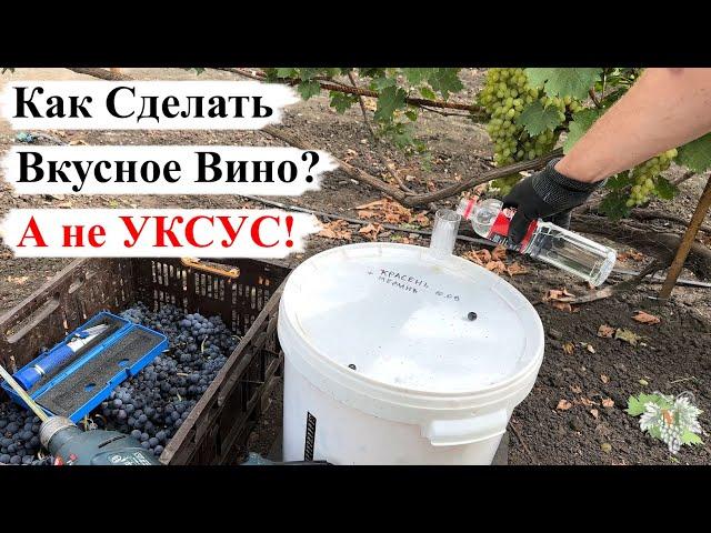 Как СДЕЛАТЬ ВКУСНОЕ ВИНО, а не УКСУС?