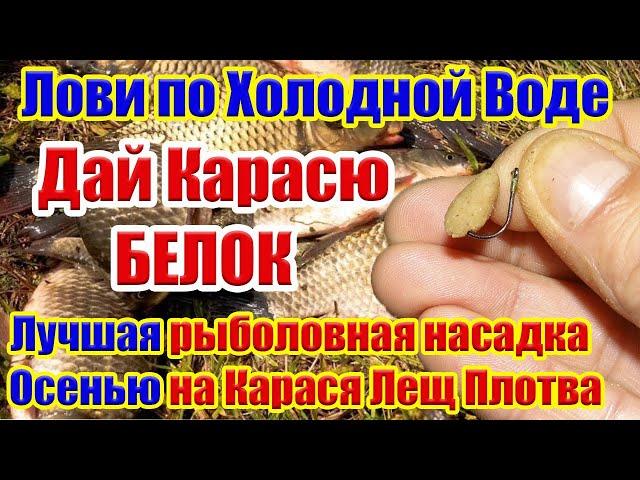 Лови по Холодной Воде! Насадка на Карася Лещ Плотва Супер Рыболовная насадка для карася