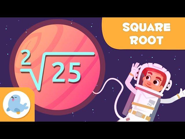 THE SQUARE ROOT  What is the Square Root? ‍ Math for Kids