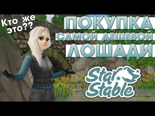 Покупка Самой Дешевой Лошади в Star Stable