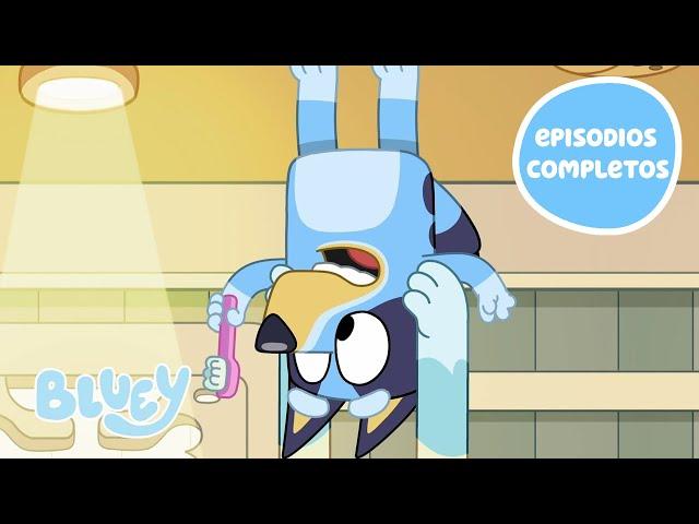  EN VIVO: Temporada 2 episodios completos | Bluey