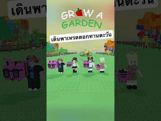เดินพาเหรดใน grow a garden น่ารักกกกกใครเคยทำกับเพื่อนแบบนี้บ้าง