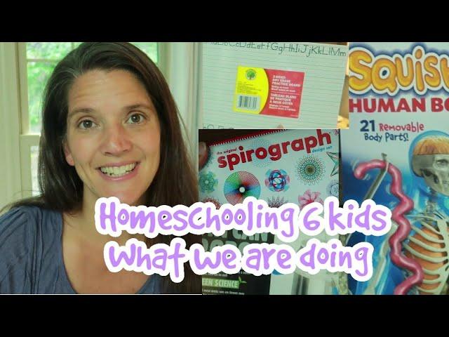 Homeschooling 6 kids and what we are doing this year