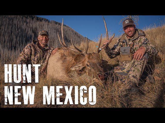 How To Hunt New Mexico | APPLICATION SEASON