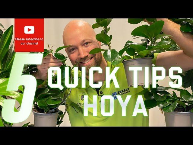 5 Quick tips Hoya