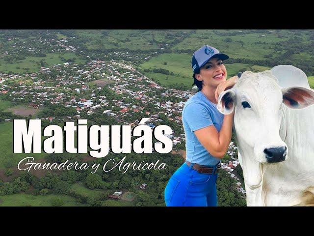  Conozca Matigúas, un PARAÍSO NATURAL entre MONTAÑAS GANADERAS ️️ ˙˖°⋆｡˚ 