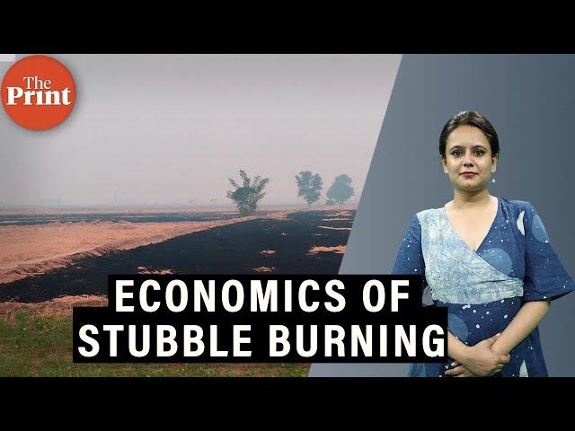 With stubble burning ban, Punjab farmers say reeling under financial burden of crop residue disposal