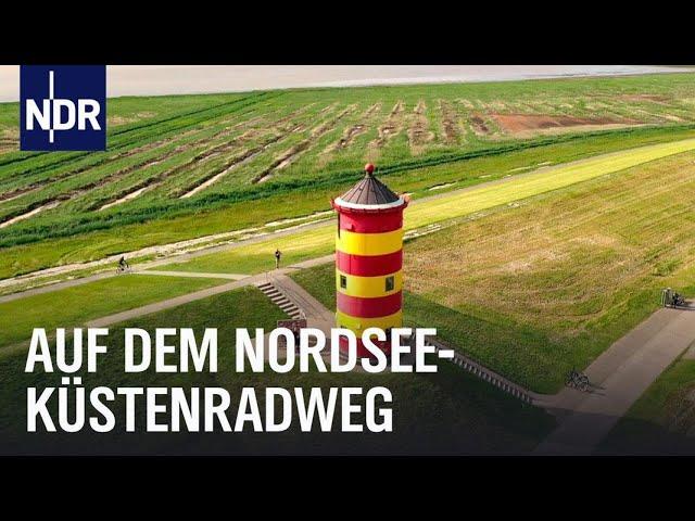 Unterwegs auf dem Nordseeküstenradweg | die nordstory | NDR Doku