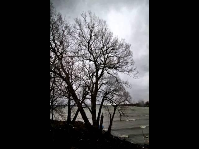 Wind Vs Willow Through the Window